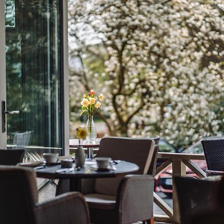 Ambleside Manor - Vegetarian B&B 외부 사진